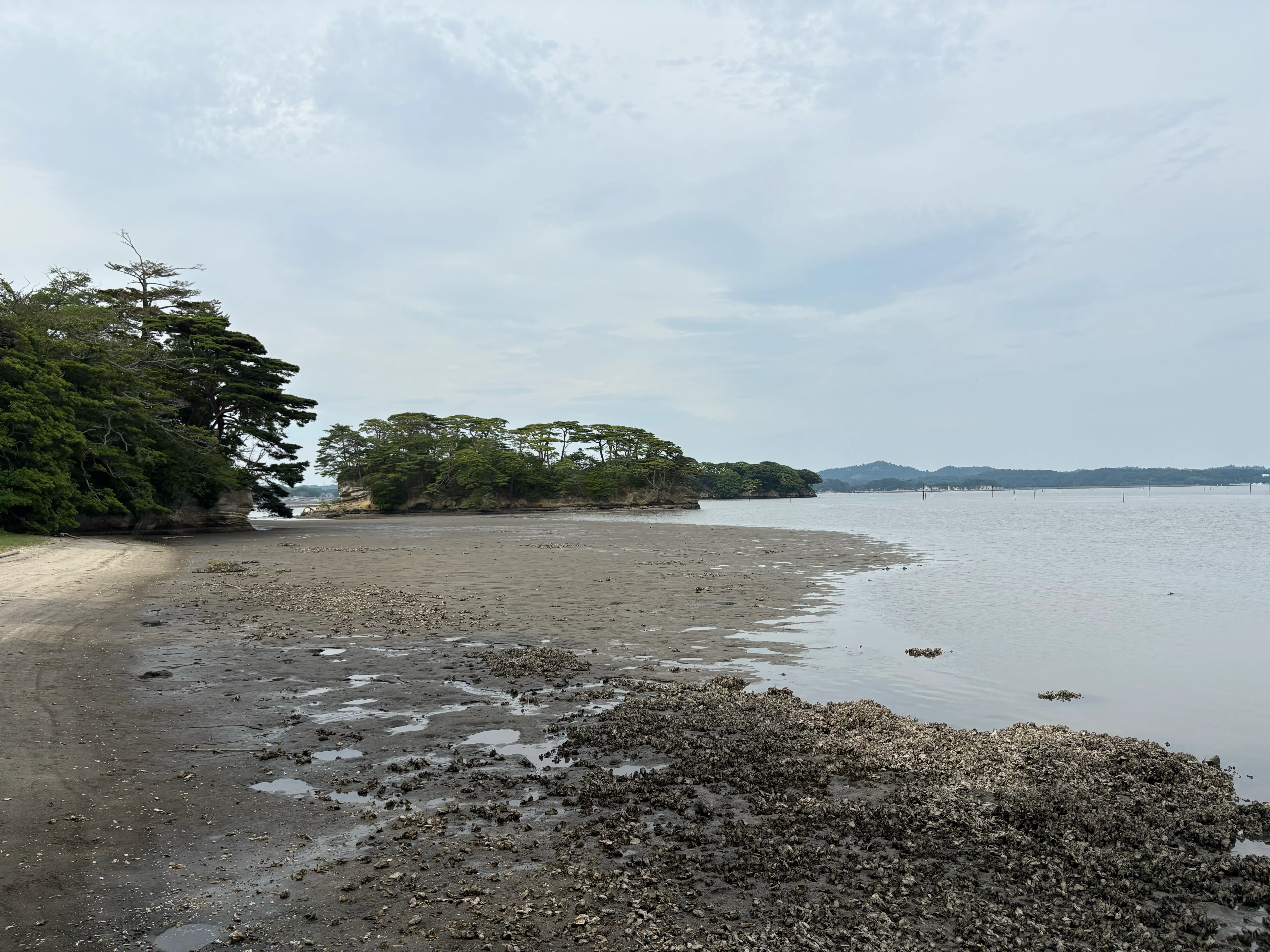 干潮の松島の海岸